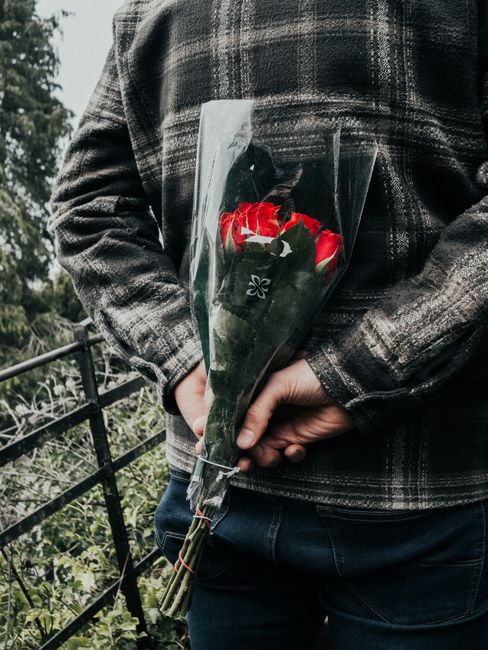 A person wearing a dark plaid jacket holds a bouquet of fresh red roses wrapped in clear plastic, with visible green leaves and sturdy stems. The bouquet is elegantly arranged with the roses facing ou